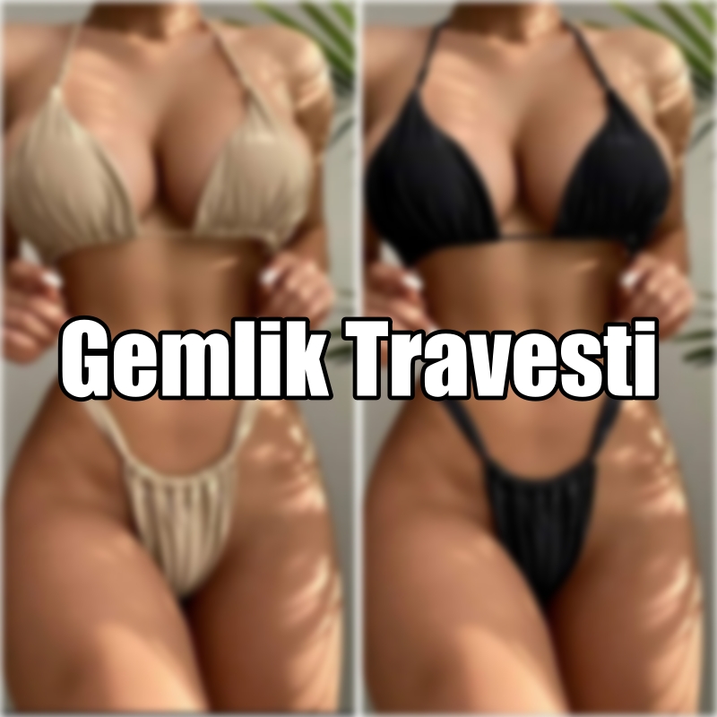 gemlik travesti